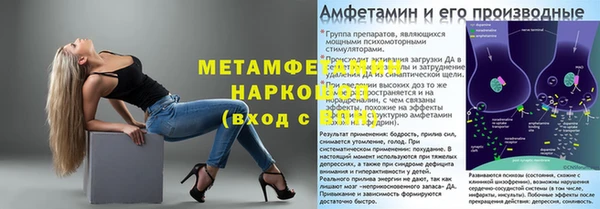 прущие грибы Волоколамск