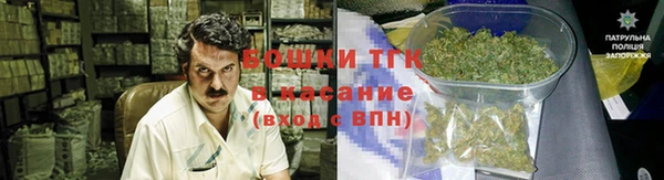 тгк Володарск