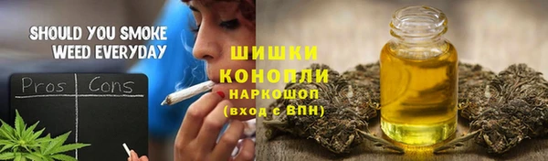 тгк Володарск