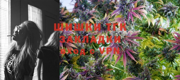 тгк Володарск