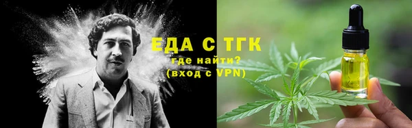 тгк Володарск