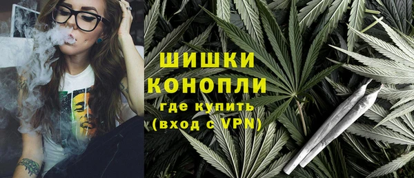 тгк Володарск