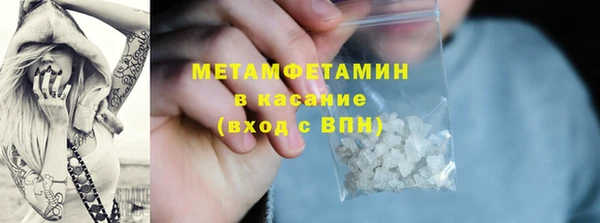 прущие грибы Волоколамск
