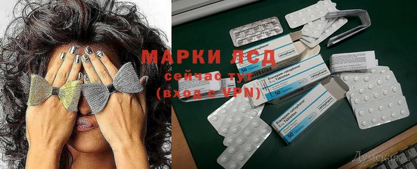 прущие грибы Волоколамск