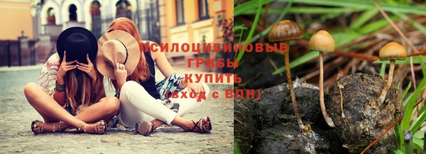 тгк Володарск