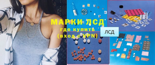 прущие грибы Волоколамск