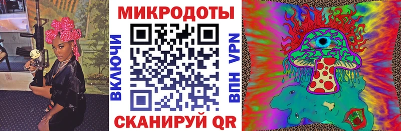 Псилоцибиновые грибы мухоморы  Купить закладки  Лодейное Поле 